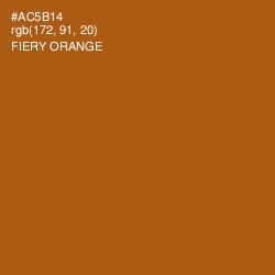 #AC5B14 - Fiery Orange Color Image